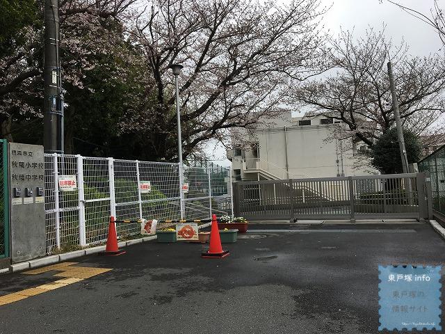 秋葉小中学校